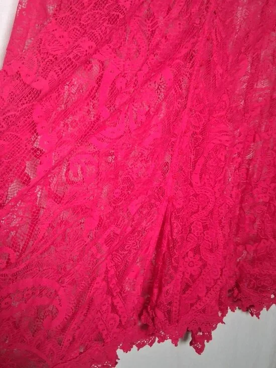 Torrid Size 4 Dress Plus Size 4X Hot Pink Lace Tank Dress Lining Barbiecore - Picture 14 of 14